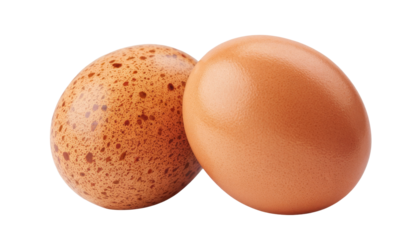 two chicken eggs on white background.