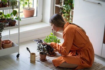 Woman sitting on floor in kitchen surrounded by pots with houseplants, looking at pot with home...