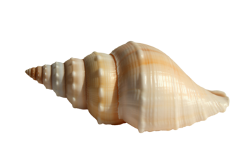 Joyful hands present wrapped gift surrounded by festive holiday decorations