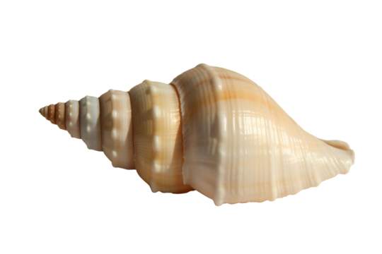 Joyful hands present wrapped gift surrounded by festive holiday decorations