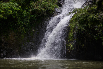 Fototapeta premium Serene Waterfall Cascading Down Rock Formation in Lush Greenery