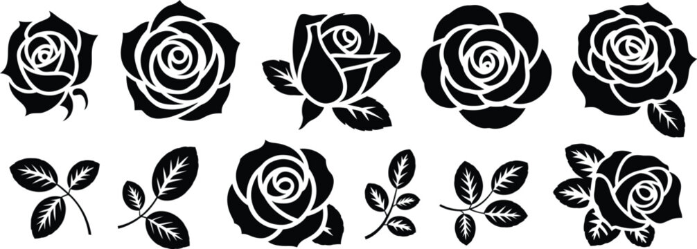 Black rose silhouettes and leaves flower white
