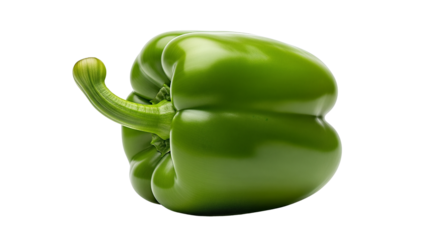 A single vibrant green bell pepper isolated on transparent background