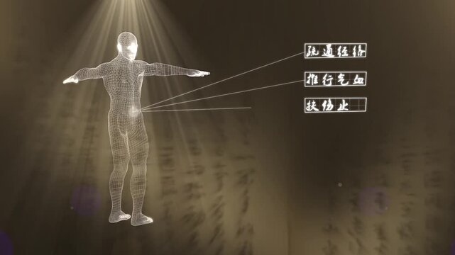 Video of 3D human body analysis in Traditional Chinese medicine