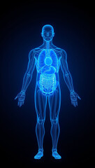 human anatomy wireframe glowing internal organs futuristic light healthcare innovation medical science background