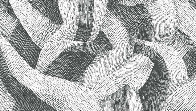 Abstract textured monochrome background with flowing organic shapes and parallel lines black white
