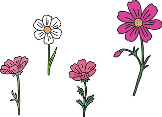 가을에 피는 코스모스 꽃 일러스트 1