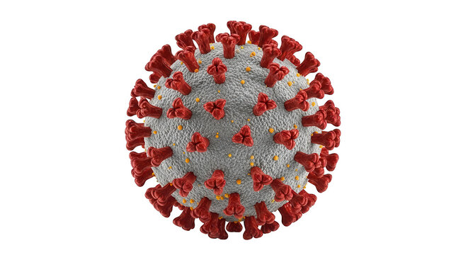 Detailed 3d rendering of a sars cov 2 virus particle with spikes isolated on transparent background