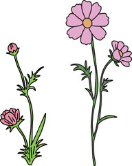 가을에 피는 코스모스 꽃 일러스트 3