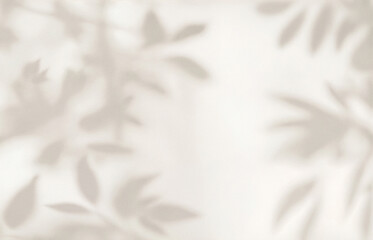 Delicate plant and leaf shadows cast on a smooth beige wall surface. Minimalist natural background ideal for eco design, interior decor, wellness, spa, and organic product mockups or branding.