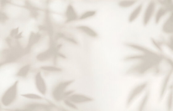Delicate plant and leaf shadows cast on a smooth beige wall surface. Minimalist natural background ideal for eco design, interior decor, wellness, spa, and organic product mockups or branding.