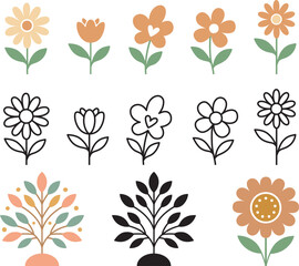 Cute Flower On White Background