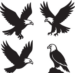 Eagle Silhouette On White Background