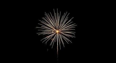 Bright golden exploding firework illuminating the night sky with a spectacular starburst of light trails, symbolizing celebration, joy, and festive events