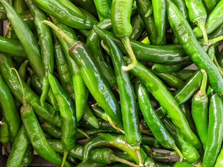 Glossy green chili peppers with slight curves, presenting a vibrant texture and rich color, signifying a healthy, essential spice ingredient for savory recipes across various global food markets.