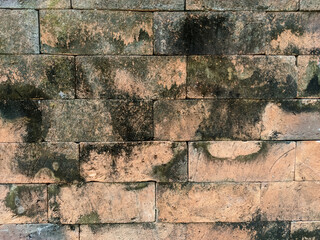 Rustic brick wall covered in black and green moss or lichen, showing significant weathering. The warm terracotta and dark organic growth create a grunge, weathered background perfect for historical