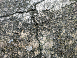 Weathered and cracked concrete or stone, showing high contrast between the rough, dark gray, granular surface and lighter, possibly moss-covered, areas. Deep fissures run vertically.