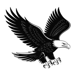 eagle vector illustration