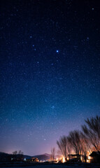 Fototapeta premium Night sky filled with countless stars, with silhouettes of trees below.