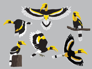 Naklejka premium Bird Great Hornbill Various Poses Flying Cartoon Vector Character