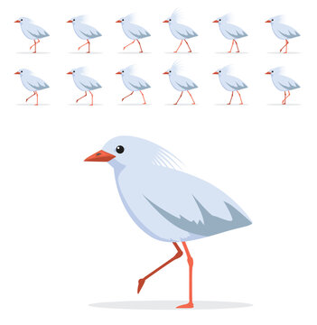Kagu Bird Walking Motion Animation Sequence Cartoon Vector Illustration