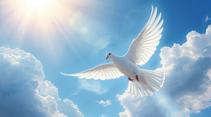Obraz premium White dove flying through sunlit clouds in a blue sky