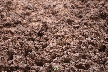Close-up view of moist soil or mud texture.