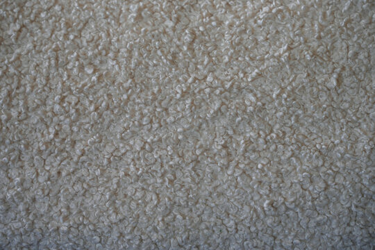 Off white boucle fabric texture 