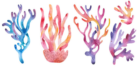 Set of watercolor seaweed and corals isolated on white