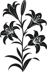 Black silhouette of a blooming lily plant with multiple flowers and buds