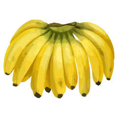 手描き水彩房バナナ