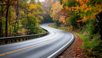 Fototapeta premium A scenic, winding highway curves through a forest canopy displaying vibrant yellow and orange fall foliage under soft, diffused light.