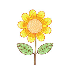 Fototapeta premium Bright yellow sunflower with green leaves