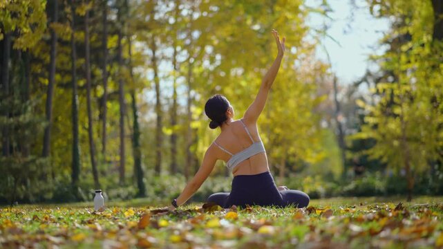 Back view of a young fit woman sitting on the grass among fallen yellow leaves, performing a side bend stretch and finishing in a meditative lotus pose in a beautiful autumn park
