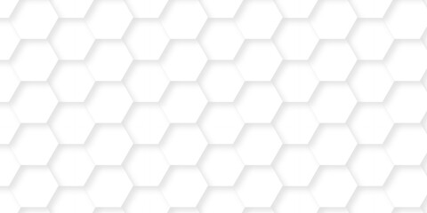 Fototapeta premium Minimal white hexagonal hexagon modern technology creative emboss light honeycomb polygonal web. abstract geometric science and mosaic tile with template texture background. 