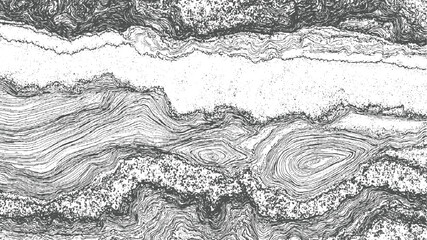 Obraz premium Abstract monochrome pattern of swirling lines and dots resembling geological strata or wood grain curves