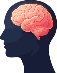 Human brain anatomy vector—side profile with glowing cerebrum and cerebellum for neuroscience, psychology, and educational themes 