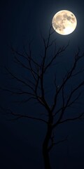 Fototapeta premium Bare branches of a solitary tree stretch towards a moonlit night sky, tree, nocturnal