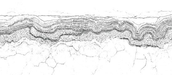 Fototapeta premium Abstract monochrome textured background with layered wavy lines and cracked surface details pattern
