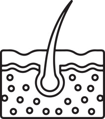 Close up illustration of human skin and hair follicle cross section
