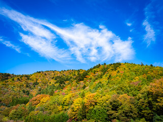 秋の澄んだ青空と色鮮やかな山の紅葉　大自然が織りなす美しい秋の風景