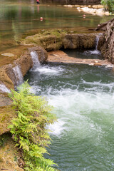 Cascading Water in Tropical Haven: Crystal clear water flows over mossy rocks, creating a refreshing oasis. A vibrant fern stands in the foreground, painting a scene of serene beauty.