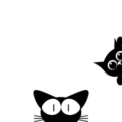 black cat peeping
