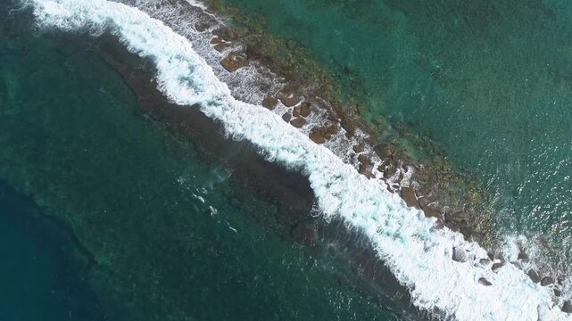 Arrecife Coralino en Playas del Parque Tayrona, Santa Marta, Colombia 3