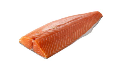 Raw Salmon Steak Quick Meal Idea