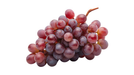 Fototapeta premium Bunch of Grapes Fresh Harvest