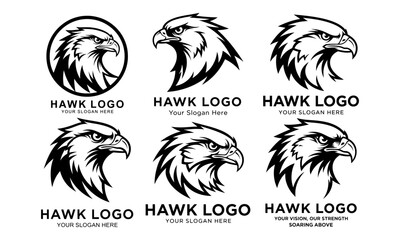 Fototapeta premium Aggressive hawk head logo designs collection