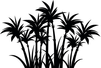 sugarcane plant silhouette, bamboo tree black symbol, 