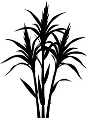 sugarcane plant silhouette, bamboo tree black symbol, 