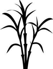 sugarcane plant silhouette, bamboo tree black symbol, 